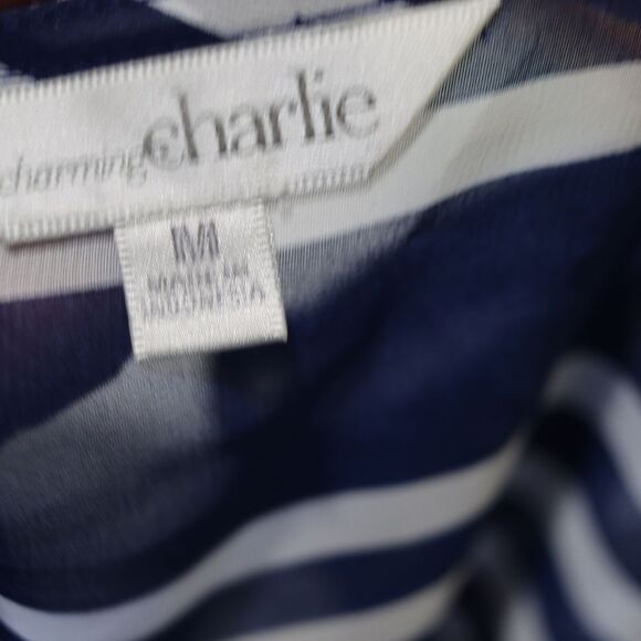 Charming Charlie Blue & White Sheer Striped Y2K Draped Top Medium - Picture 8 of 10